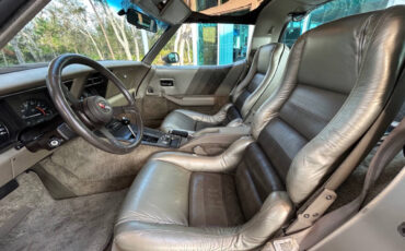 Chevrolet-Corvette-1982-Hatchback-25