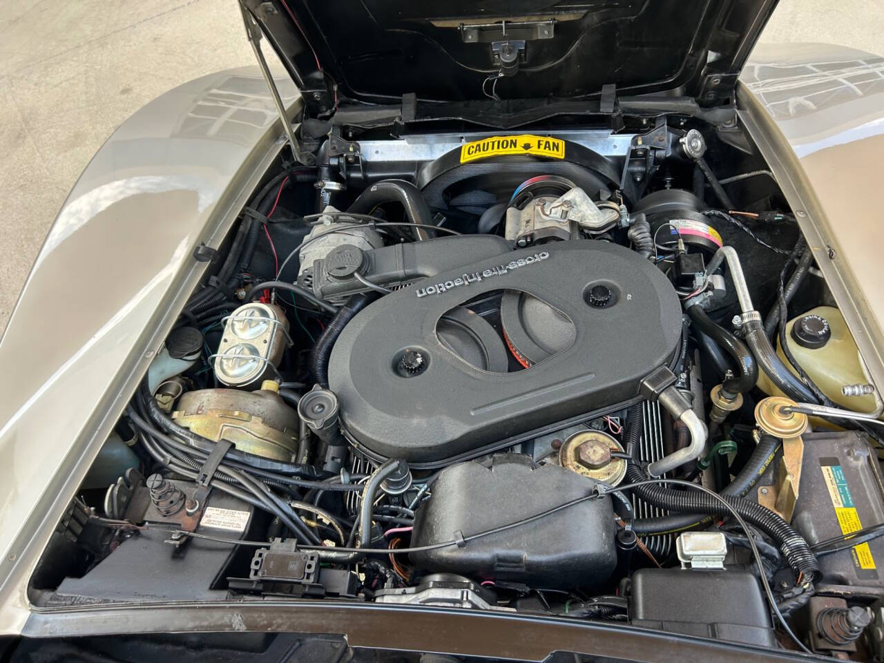 Chevrolet-Corvette-1982-Hatchback-36