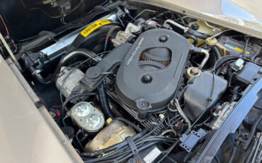 Chevrolet-Corvette-1982-Hatchback-37