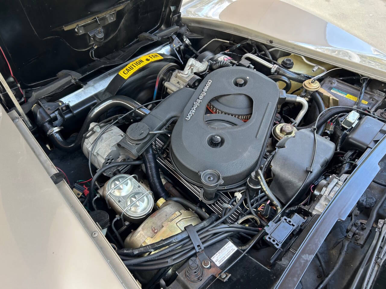 Chevrolet-Corvette-1982-Hatchback-37