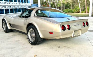 Chevrolet-Corvette-1982-Hatchback-8