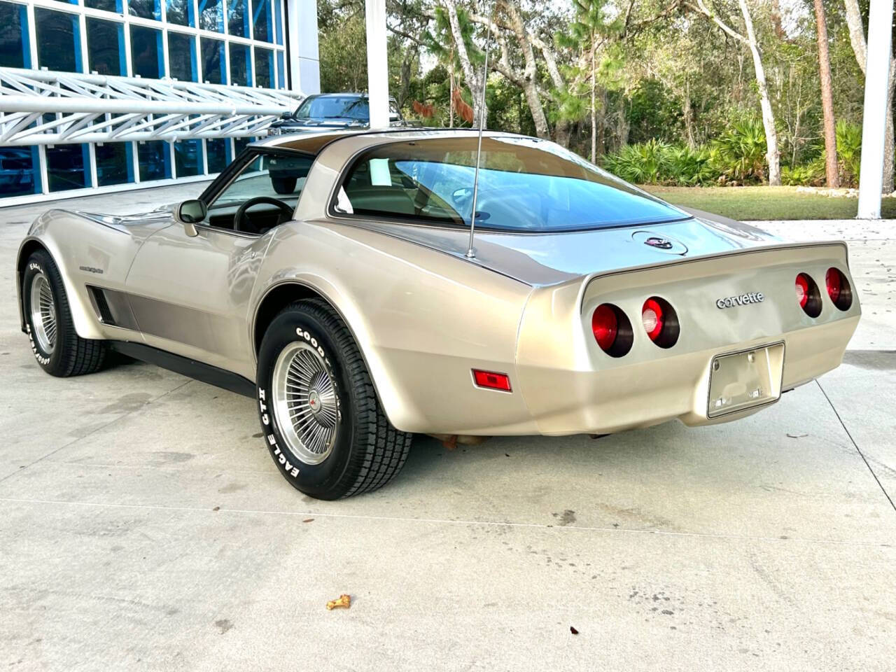 Chevrolet-Corvette-1982-Hatchback-8