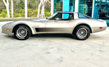 Chevrolet-Corvette-1982-Hatchback-9