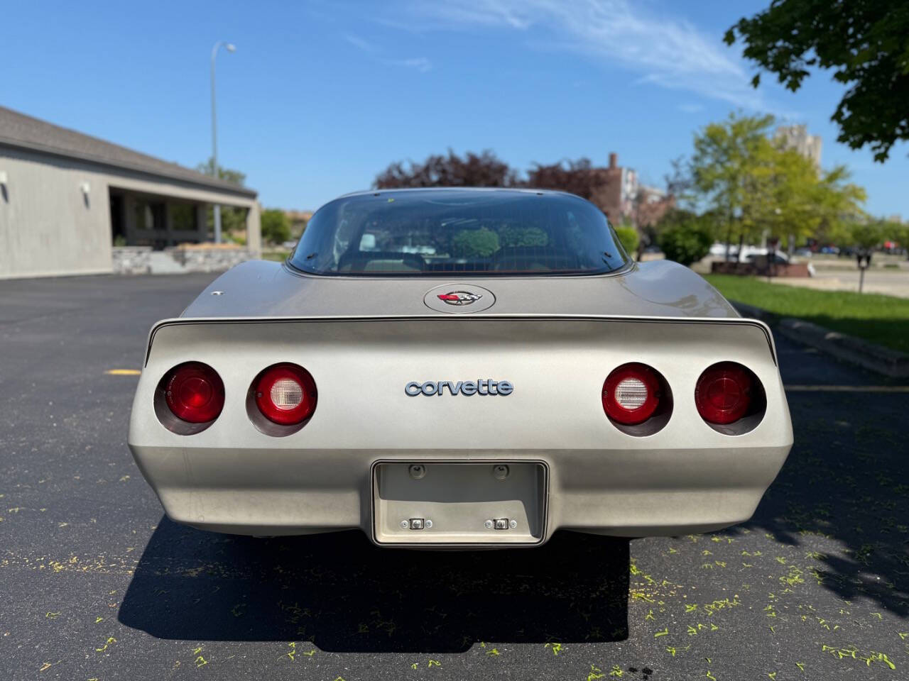 Chevrolet-Corvette-1982-Hatchback-9