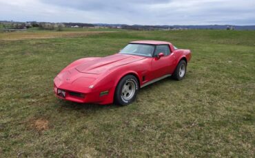 Chevrolet-Corvette-1982-Red-Gray-17