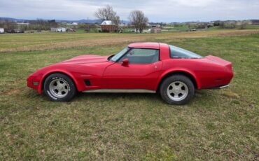Chevrolet-Corvette-1982-Red-Gray-21