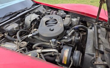 Chevrolet-Corvette-1982-Red-Gray-3