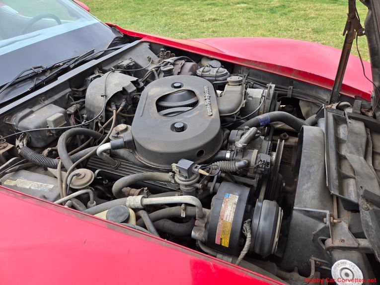 Chevrolet-Corvette-1982-Red-Gray-3