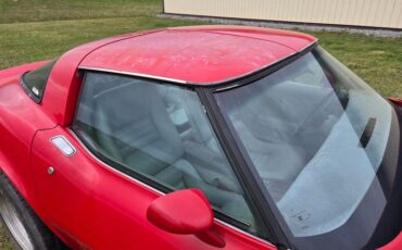 Chevrolet-Corvette-1982-Red-Gray-31