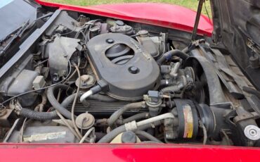 Chevrolet-Corvette-1982-Red-Gray-4