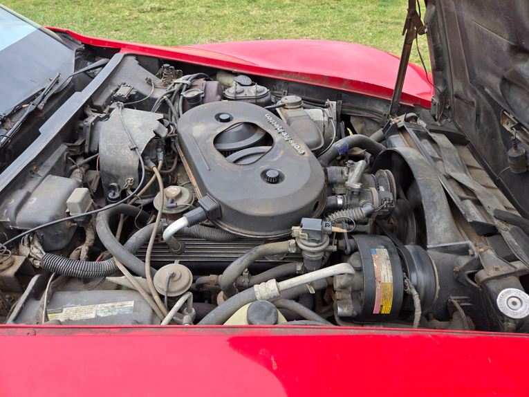 Chevrolet-Corvette-1982-Red-Gray-4