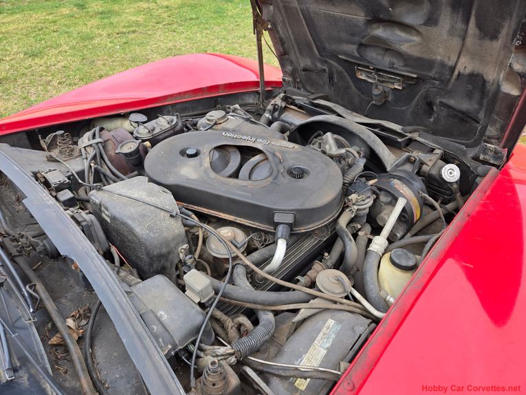 Chevrolet-Corvette-1982-Red-Gray-5