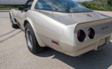 Chevrolet-Corvette-1982-Silver-Beige-Silver-Beige-10