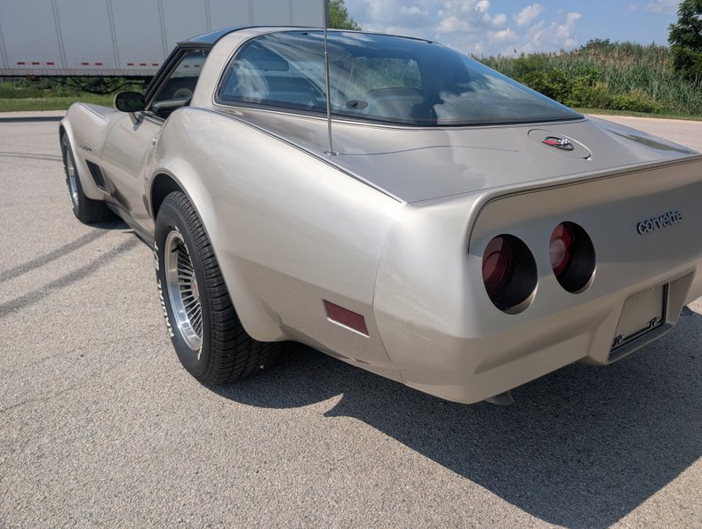Chevrolet-Corvette-1982-Silver-Beige-Silver-Beige-10
