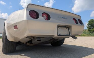 Chevrolet-Corvette-1982-Silver-Beige-Silver-Beige-11