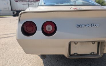 Chevrolet-Corvette-1982-Silver-Beige-Silver-Beige-12