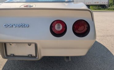 Chevrolet-Corvette-1982-Silver-Beige-Silver-Beige-13