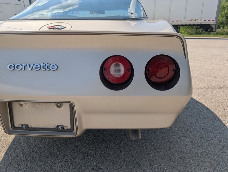 Chevrolet-Corvette-1982-Silver-Beige-Silver-Beige-13