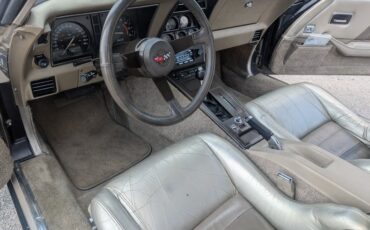 Chevrolet-Corvette-1982-Silver-Beige-Silver-Beige-15