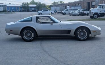 Chevrolet-Corvette-1982-Silver-Beige-Silver-Beige-24