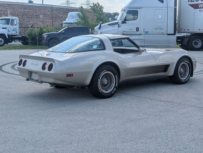 Chevrolet-Corvette-1982-Silver-Beige-Silver-Beige-25