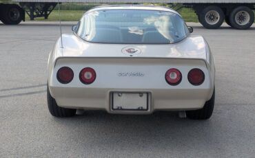 Chevrolet-Corvette-1982-Silver-Beige-Silver-Beige-26
