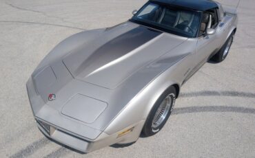 Chevrolet-Corvette-1982-Silver-Beige-Silver-Beige-28