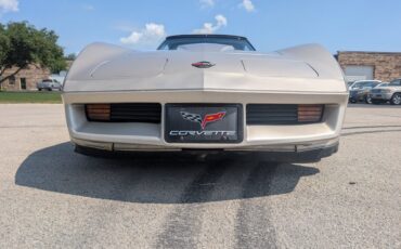 Chevrolet-Corvette-1982-Silver-Beige-Silver-Beige-31