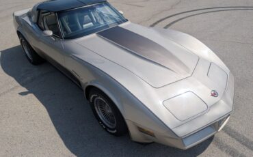 Chevrolet-Corvette-1982-Silver-Beige-Silver-Beige-32