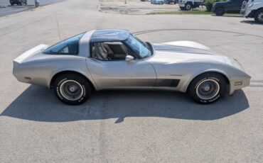 Chevrolet-Corvette-1982-Silver-Beige-Silver-Beige-33