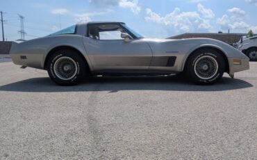 Chevrolet-Corvette-1982-Silver-Beige-Silver-Beige-34