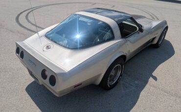 Chevrolet-Corvette-1982-Silver-Beige-Silver-Beige-35