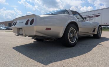 Chevrolet-Corvette-1982-Silver-Beige-Silver-Beige-36