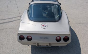 Chevrolet-Corvette-1982-Silver-Beige-Silver-Beige-37