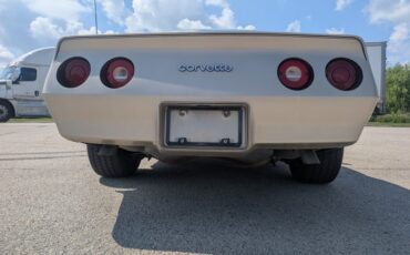 Chevrolet-Corvette-1982-Silver-Beige-Silver-Beige-38