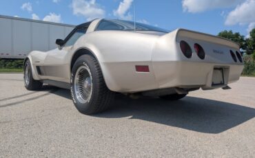 Chevrolet-Corvette-1982-Silver-Beige-Silver-Beige-39