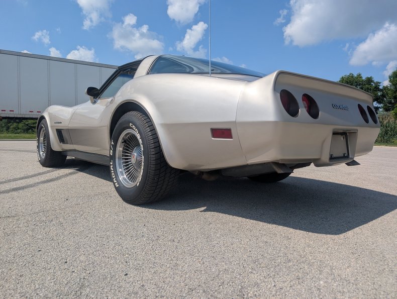 Chevrolet-Corvette-1982-Silver-Beige-Silver-Beige-39
