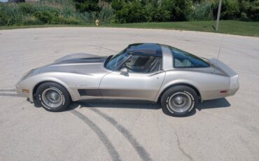 Chevrolet-Corvette-1982-Silver-Beige-Silver-Beige-40