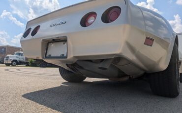 Chevrolet-Corvette-1982-Silver-Beige-Silver-Beige-42