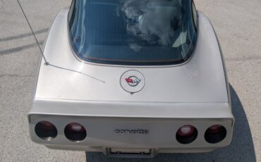 Chevrolet-Corvette-1982-Silver-Beige-Silver-Beige-43