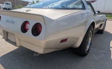 Chevrolet-Corvette-1982-Silver-Beige-Silver-Beige-44