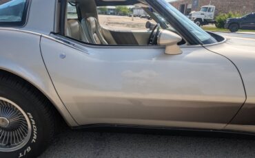Chevrolet-Corvette-1982-Silver-Beige-Silver-Beige-46
