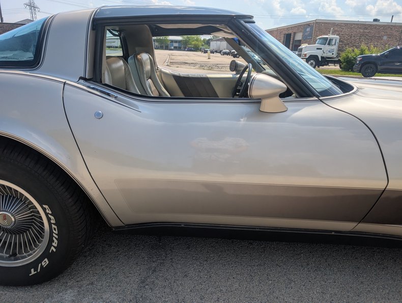 Chevrolet-Corvette-1982-Silver-Beige-Silver-Beige-46