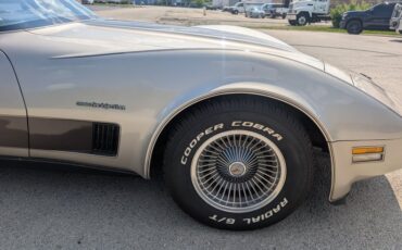 Chevrolet-Corvette-1982-Silver-Beige-Silver-Beige-47