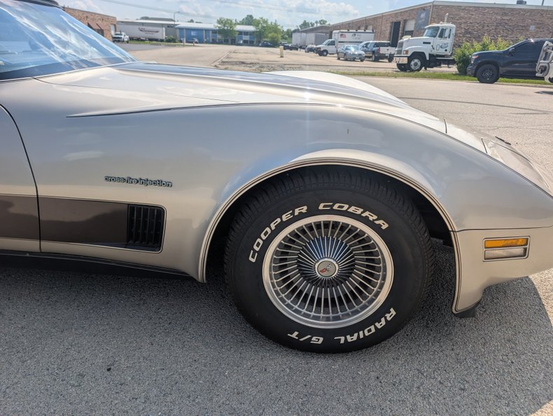 Chevrolet-Corvette-1982-Silver-Beige-Silver-Beige-47