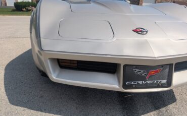 Chevrolet-Corvette-1982-Silver-Beige-Silver-Beige-49