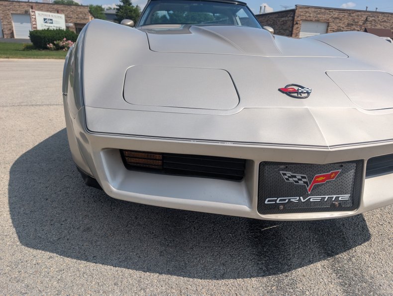 Chevrolet-Corvette-1982-Silver-Beige-Silver-Beige-49
