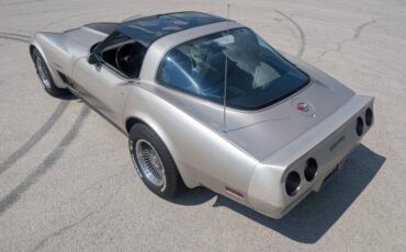 Chevrolet-Corvette-1982-Silver-Beige-Silver-Beige-5