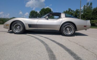 Chevrolet-Corvette-1982-Silver-Beige-Silver-Beige-6