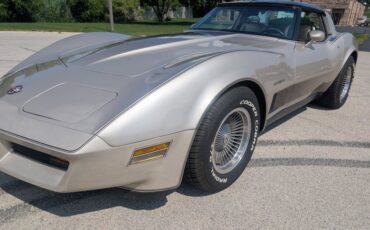Chevrolet-Corvette-1982-Silver-Beige-Silver-Beige-7